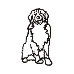Bernese Mountain Dog Icon