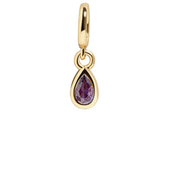 Birthstone Cluster Charm - Amethyst/Gold