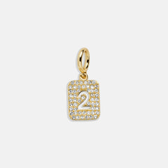 Block Pavé Number Cluster Charm - 2